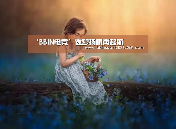 BBIN下载