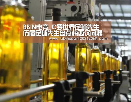 BBIN下载