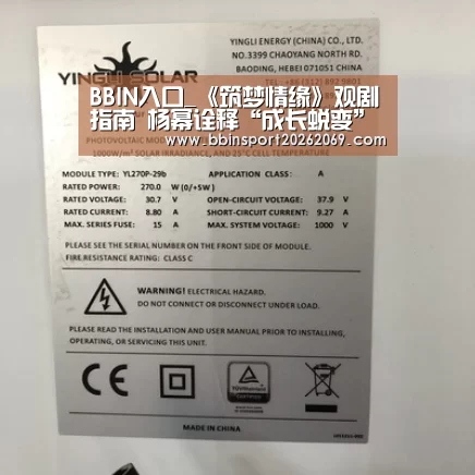 BBIN电竞