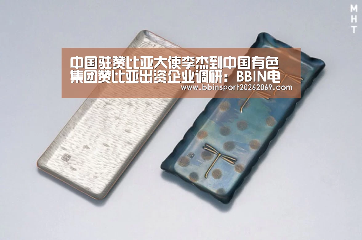 中国驻赞比亚大使李杰到中国有色 集团赞比亚出资企业调研:BBIN电竞(图2) BBIN下载