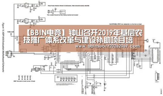 【BBIN电竞】钟山召开2019年基层农技推广体系改革与建设补助项目培训会(图1) BBIN电竞